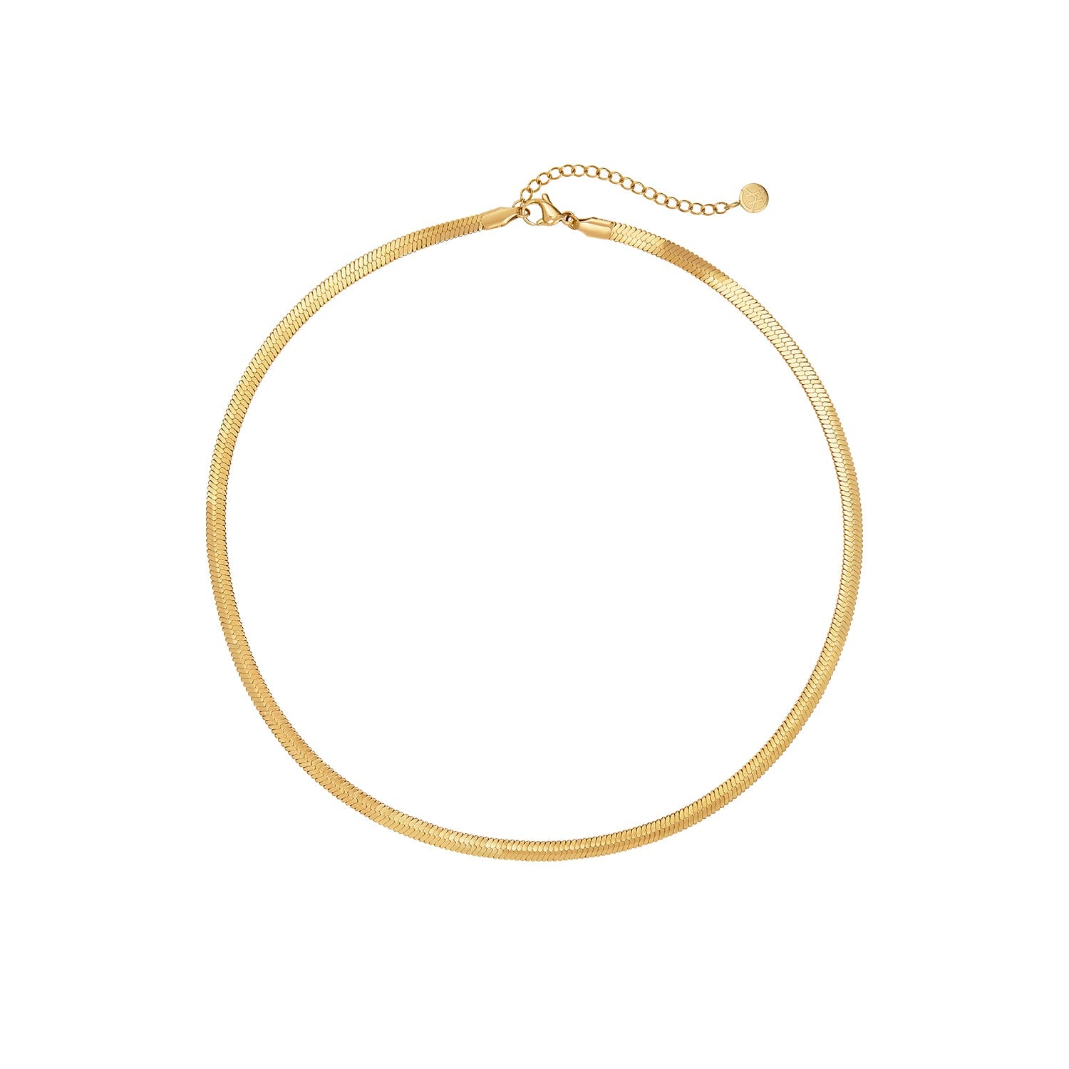 Victoria Hyde Lamia light gold snake chain necklace – stainless steel, 400mm+50mm length, elegant jewelry for a fashionable look.

